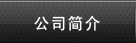 公司簡介